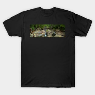 Crystal Creek Falls - Paluma Range - North Queensland T-Shirt